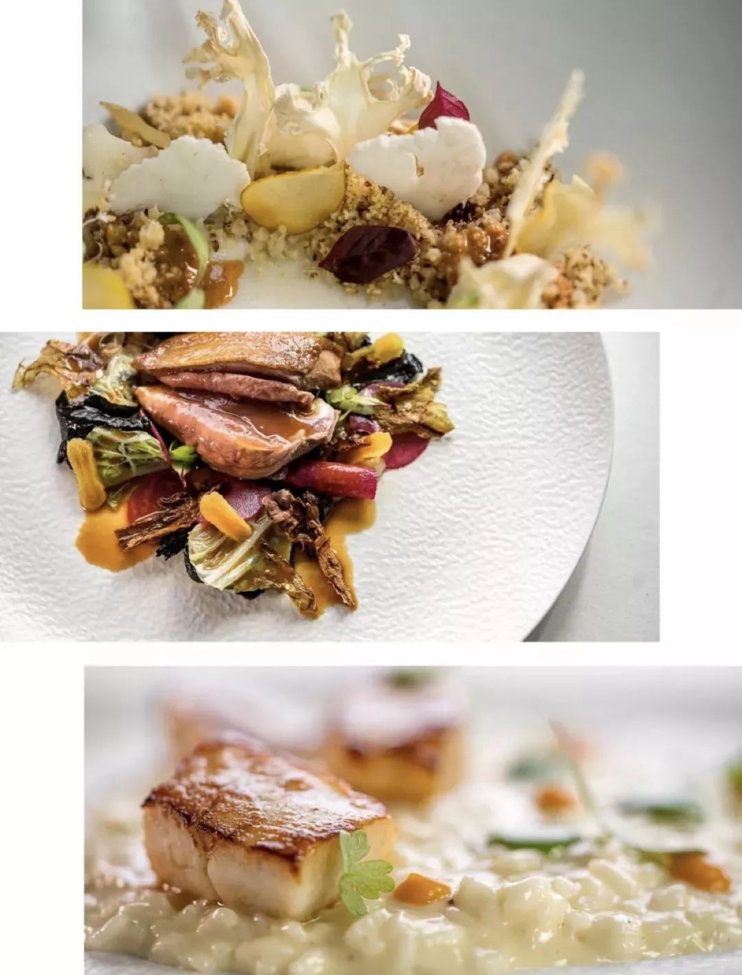 一次吃遍圣诞大餐,正宗的圣诞大餐吃什么