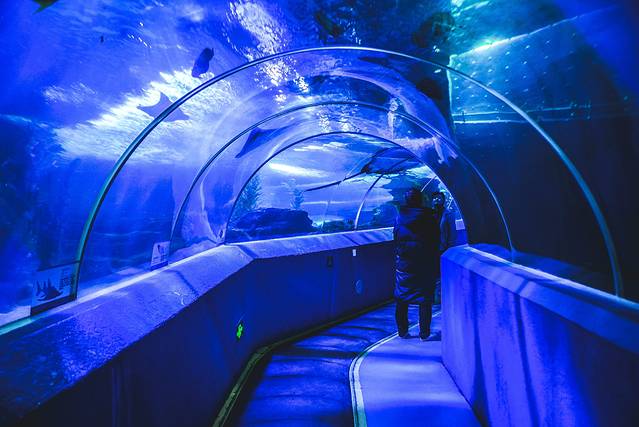 猝不及防闯入你的容颜｜你好，青岛