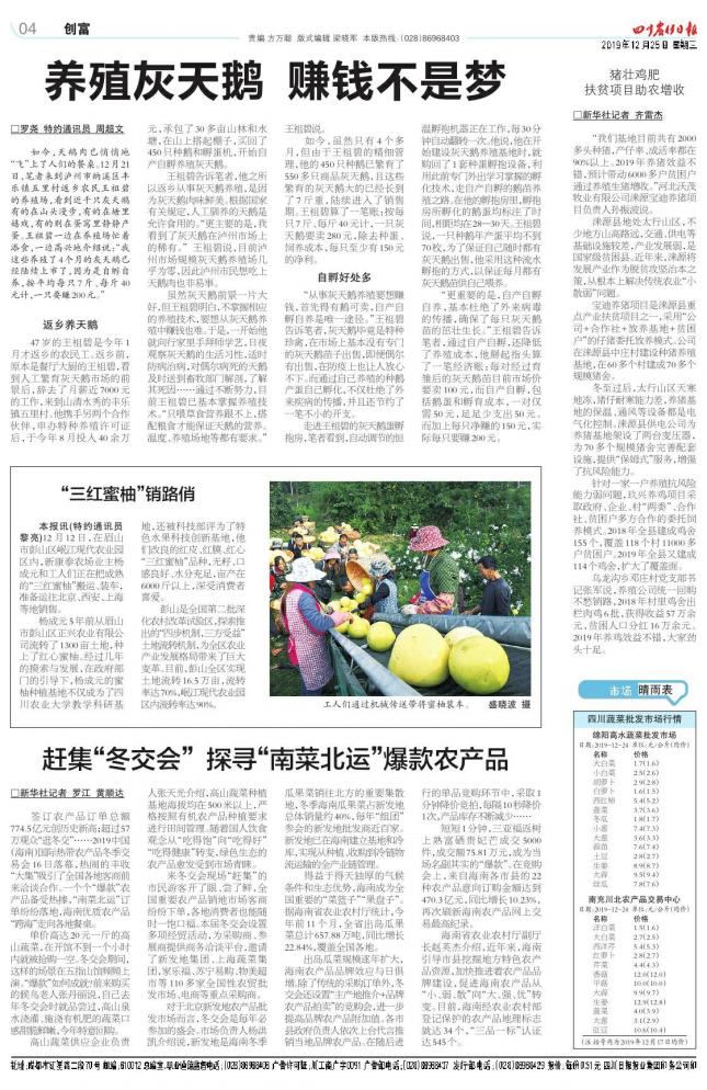 黑天鹅养殖怎么盈利,养黑天鹅能赚钱吗