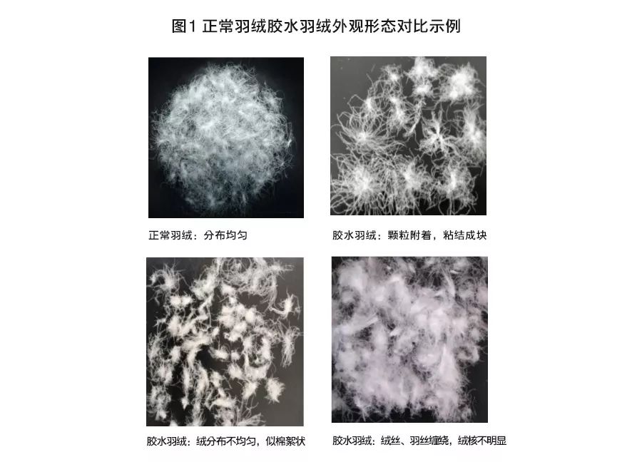 40-50岁羽绒服测评,五防面料羽绒服测试