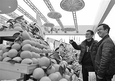 持续挖掘消费“富矿”,消费创富的商机