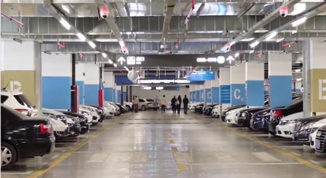 日照文旅,日照索隆