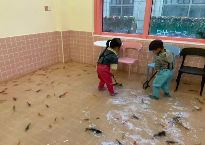 吸猫撸狗遛羊驼,吸狗撸猫遛羊驼