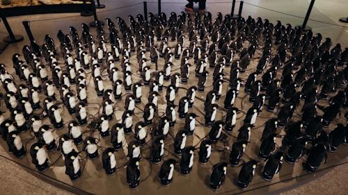 SKP-SB1探店记|我在羊圈底下喝咖啡