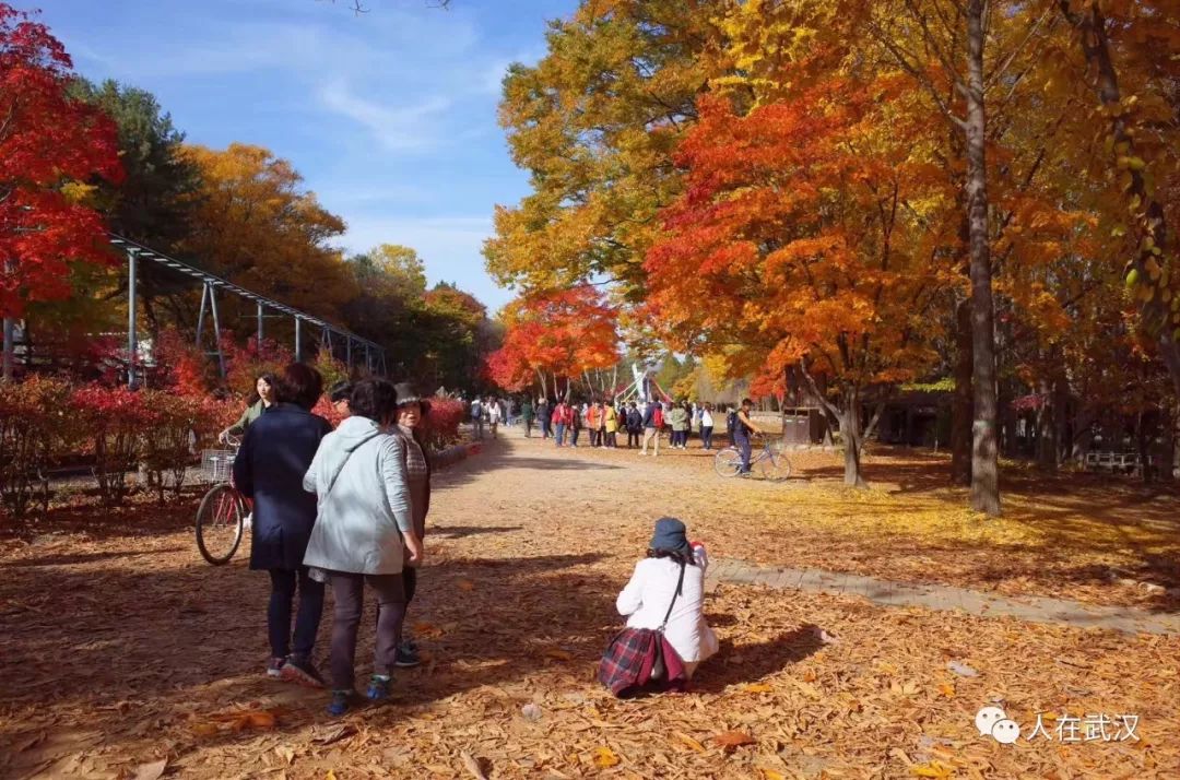 韩国旅行攻略大全 (2018年的第一次旅行从韩国开始)