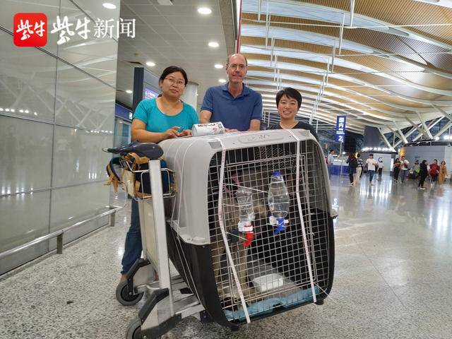 苏州小动物保护协会领养流程,苏州小动物保护协会救助