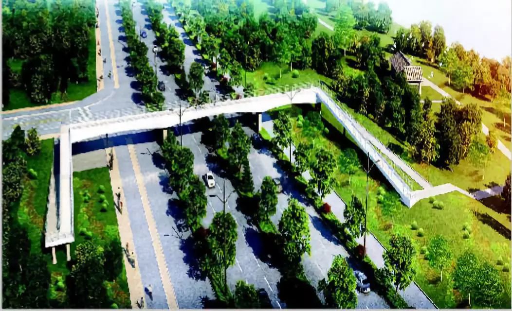 山西2020政策,今年山西人都去哪了