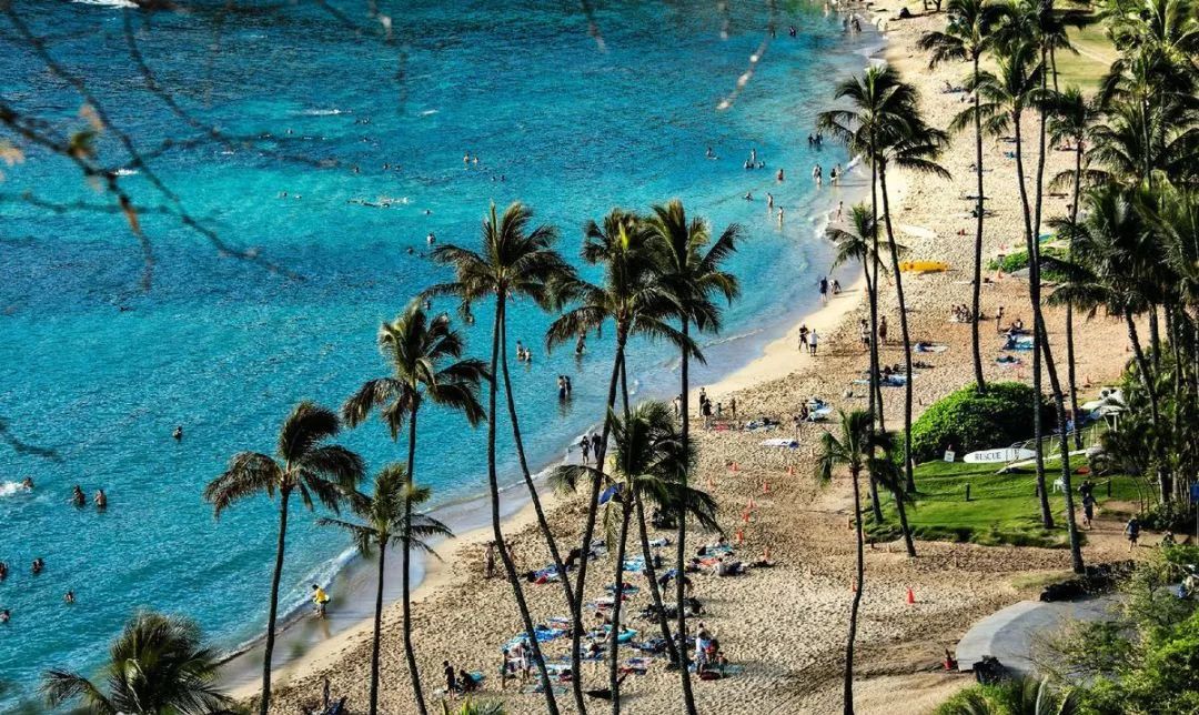 成都后花园独栋大别墅,成都后花园最火的地方