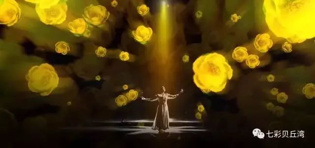 七彩贝丘湾海滩,七彩贝丘湾攻略