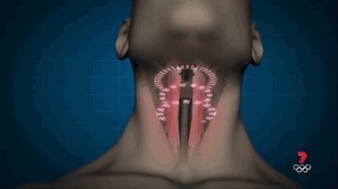 呼噜娃创作原声,呼噜娃完全视频