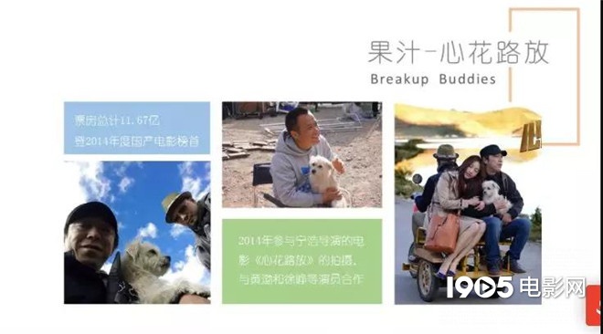 称霸元旦档的TA们，凭啥在银幕上备受宠爱？