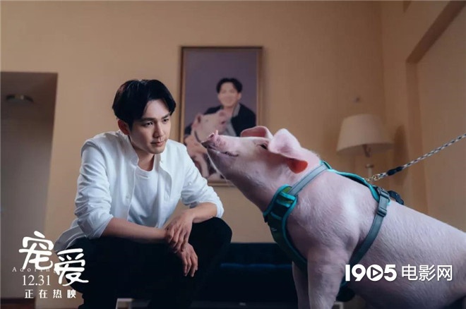 称霸元旦档的TA们，凭啥在银幕上备受宠爱？