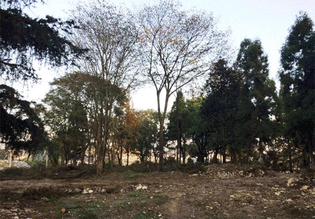 西秀区武当路虹山湖市民公园,安顺虹山湖市民公园