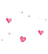 跟着网红囤年货，同安人气伴手礼有你好看