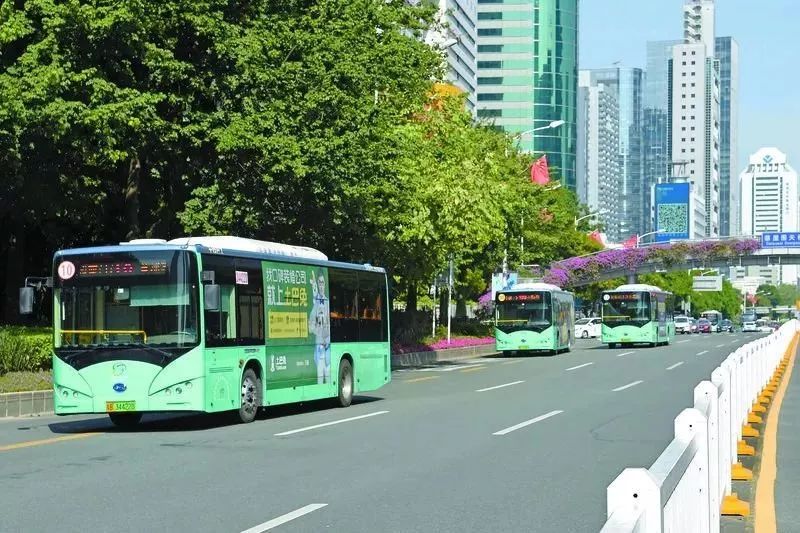 深圳交通出行指引发布,深圳公共交通最新政策