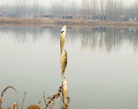 鱼钩串钩绑法为什么串钩钓不到鱼,串钩的钓法和技巧