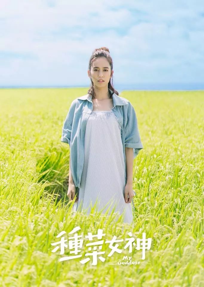 我不是购物狂陈庭妮现状,一口气看完我不是购物狂