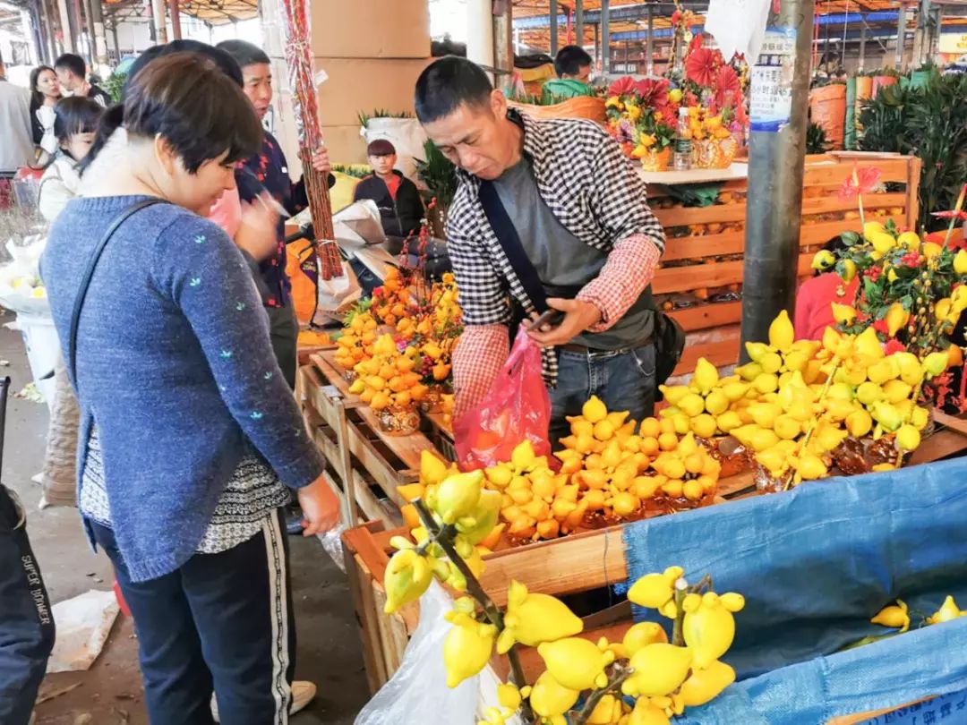 年花开始升价啦！岭南花卉市场购花攻略快收好