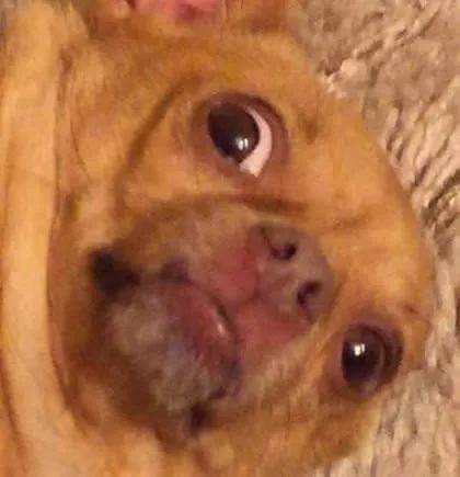 这个被李佳琦夸上天的国货，真的别买...