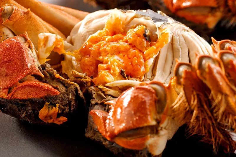 南国的两面：江南vs岭南