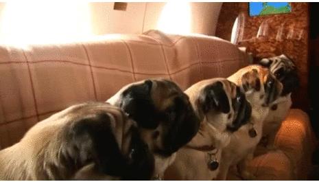 知道你们无聊，于是请来这些时装大师，陪你们一起宅在家中