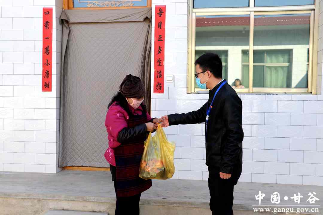 甘谷县村书记变身代购员 (甘肃甘谷阳寨村书记)