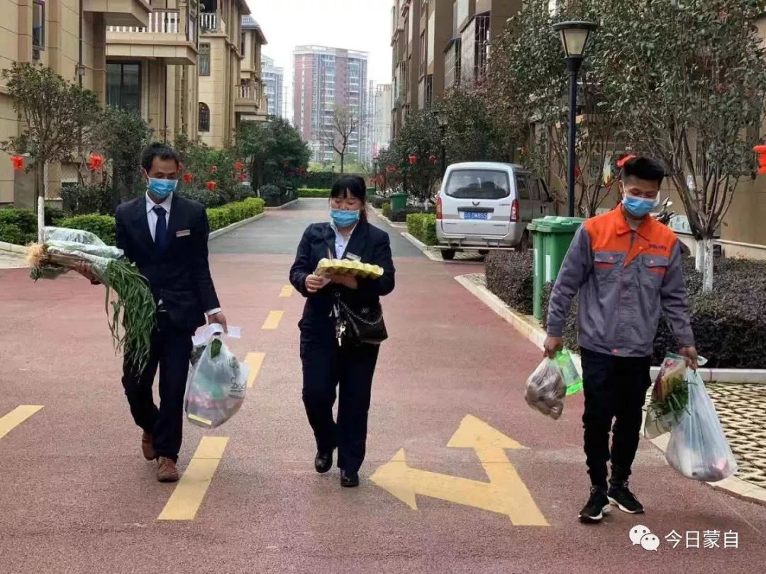 别人家的物业为业主送绿植,别人家的物业