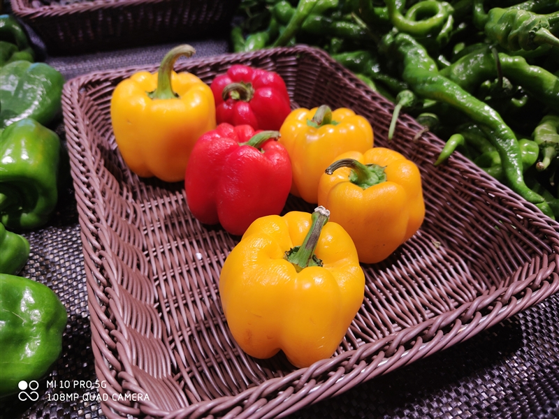 小米10pro测评优缺点,小米10pro和小米10至尊性能对比