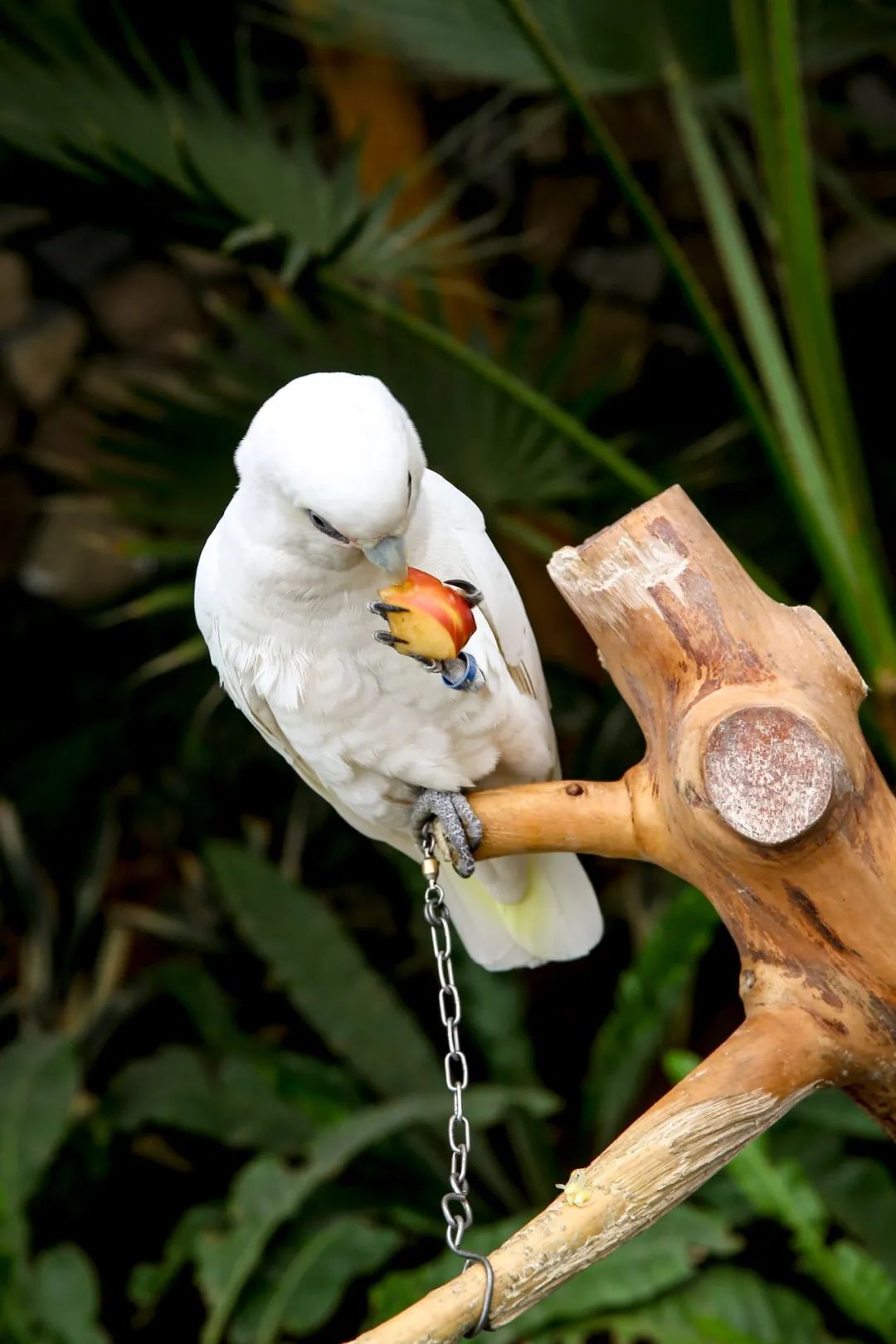 爱改装的车主眼中汉兰达咋样？除了油耗高、推背感肉外，不偷工减料、舒适度高能不能加分？