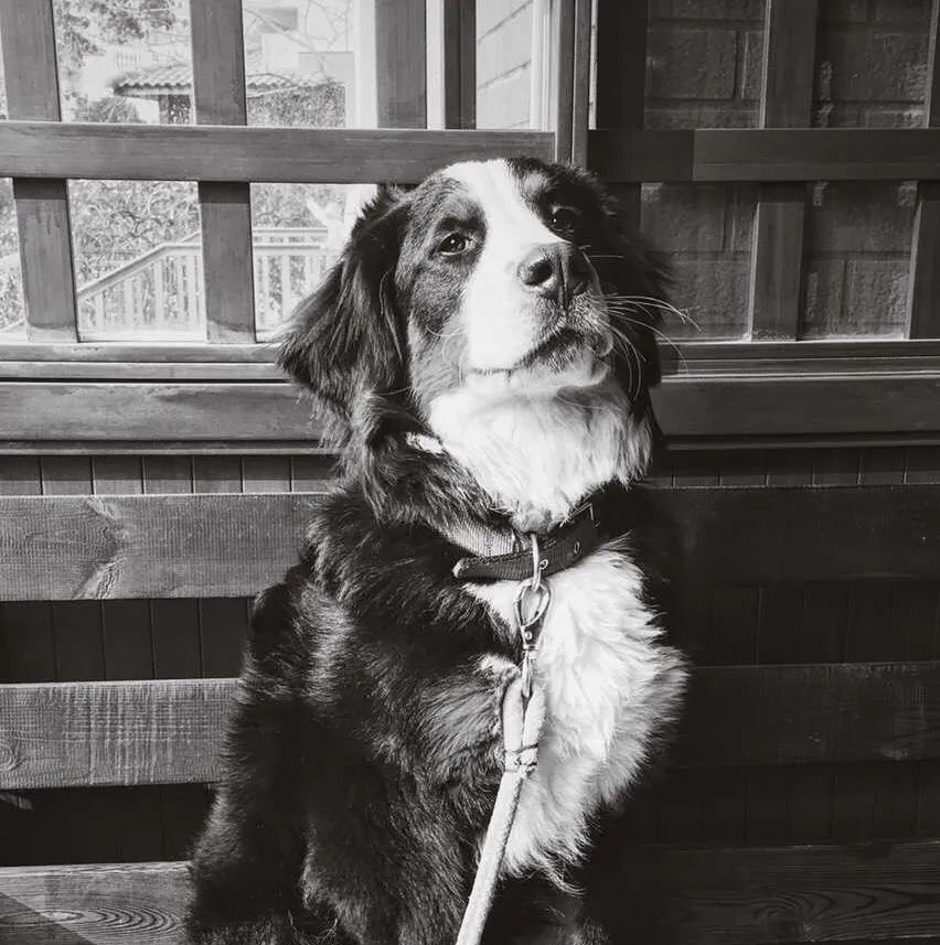 小家电防坑指南,小家电使用教训分享