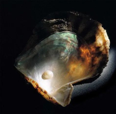 这次COMMEdesGARÇONS的珍珠项链，你会砸下重金吗？