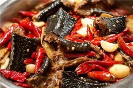 人工养殖什么野味不违法,人工养殖野味的危害