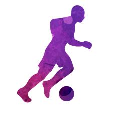 雅居乐足球赛,雅居乐杯冠军