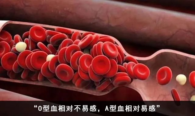 留学生疫情无法回国,留学生因疫情无法返校申请