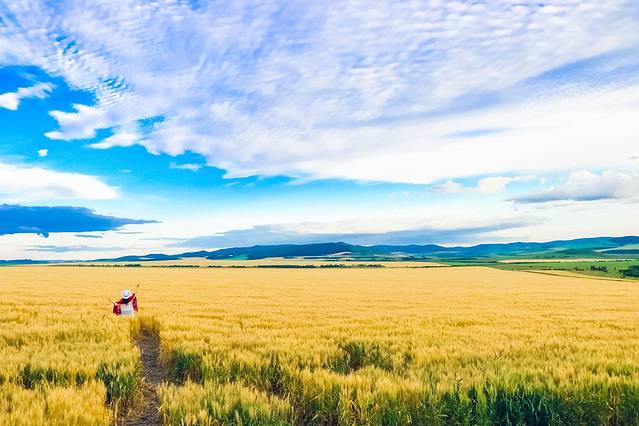 欢迎你来呼伦贝尔大草原,为你而来新疆歌曲拼音