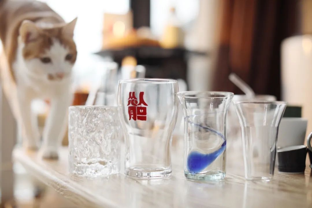 美食博主高颜值高级餐具,美食博主餐具