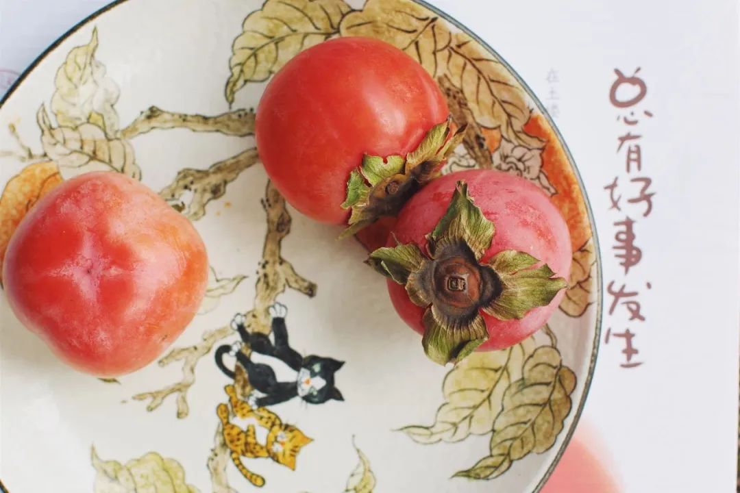 美食博主高颜值高级餐具,美食博主餐具