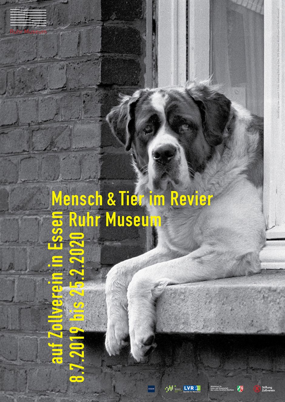 设计|2020德语区·100张最佳海报