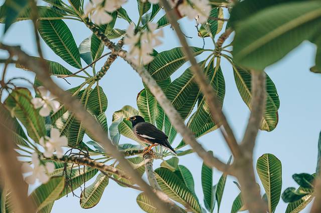 阿联酋迪拜之行,阿联酋迪拜篇