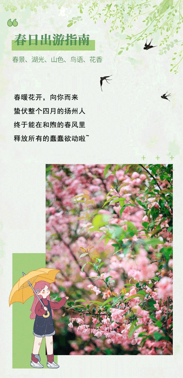 海底捞4.9折堂食券,清明节海底捞打折吗