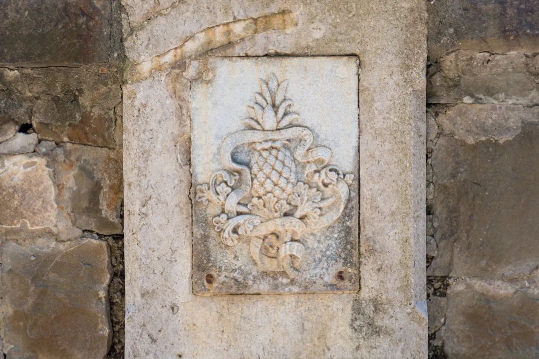 中国菠萝第一镇在哪里,波罗的海在中国哪个省