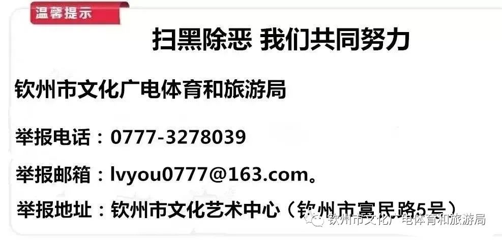 茶香禅韵入梦完全视频,世外桃源神仙度假地