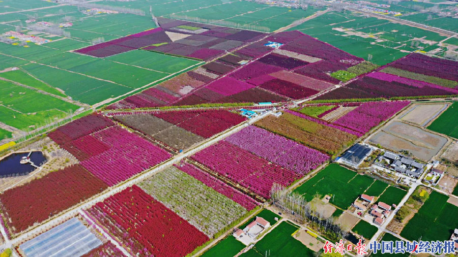 沭阳获得的国家级荣誉,沭阳获得国务院督查激励