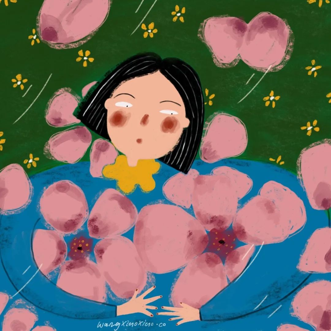 插画师入坑指南菜鸟逆袭,入坑电脑插画