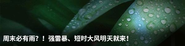 网上被骗钱的案例,被骗80万诈骗为何屡诈屡赚