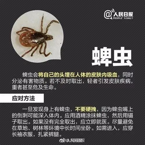 夏季粮食防虫小妙招,夏季防虫小妙招