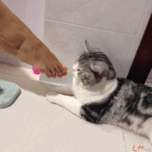 隐形船袜防滑防掉超浅口全棉,合适脚小穿的隐形船袜