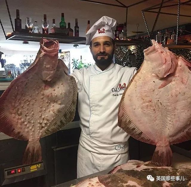 娣辨捣鎬奔缇庨,娣辨捣鎬奔鍒朵綔