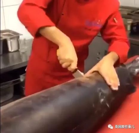 娣辨捣鎬奔缇庨,娣辨捣鎬奔鍒朵綔