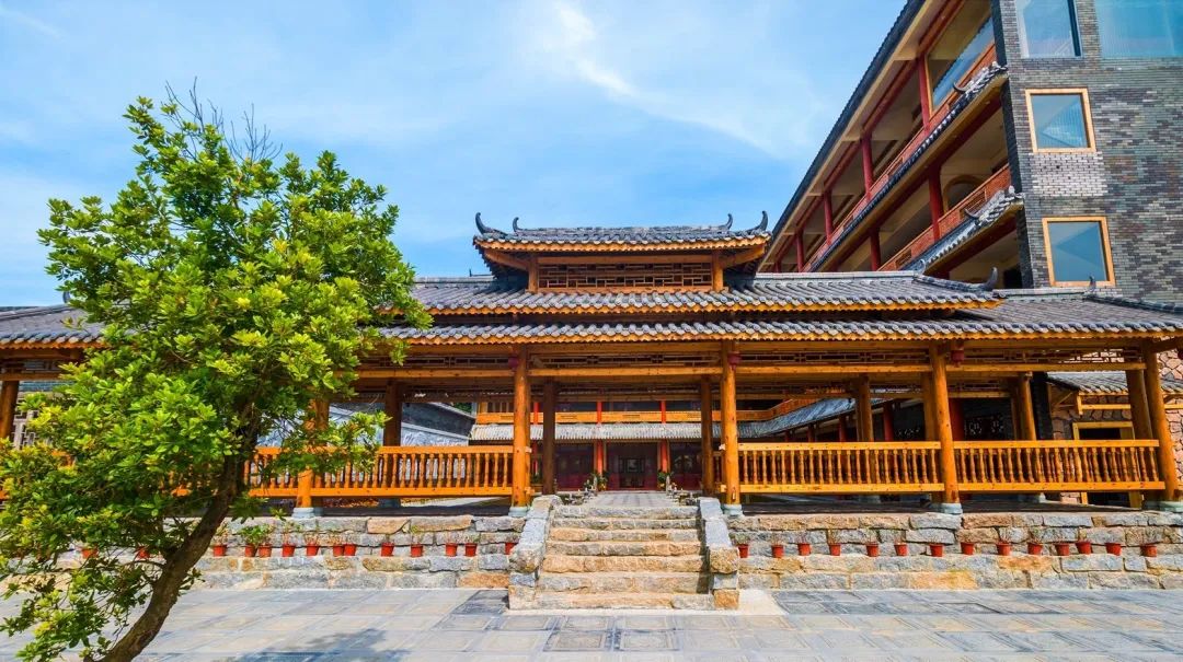 茶香禅韵入梦完全视频,世外桃源神仙度假地